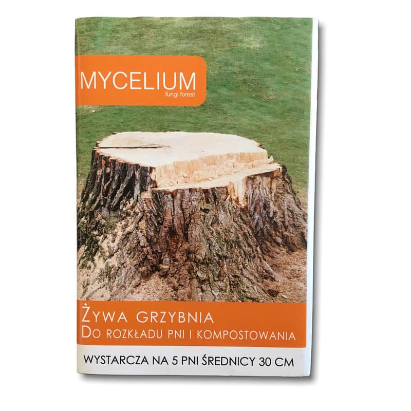 mycelium-grzybnia-do-pni