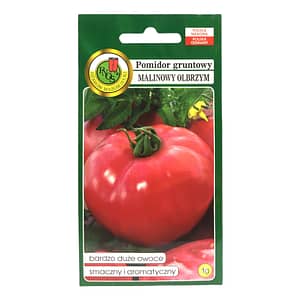 Pomidor Malinowy Olbrzym 1g PNOS