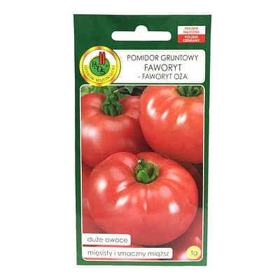 Pomidor Faworyt