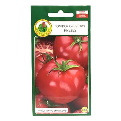 Pomidor Prezes
